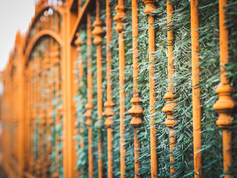 Metal Fence In The City